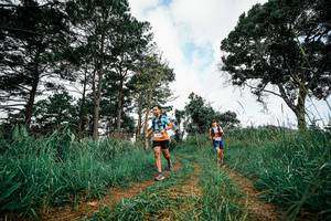 BIB: 
                            <button type="button" onclick="openModal(25996119)" class="btn btn-primary btn-sm float-right btn-popup" data-toggle="modal" data-target=".modal-high-quality">
                        <i class="fas fa-shopping-cart"></i> Add to Cart
                    </button>
                                            <button type="button" onclick="isThisMe(25996119, true)" class="btn btn-success btn-sm float-right btn-popup btn-isme hidden" data-toggle="tooltip" data-placement="bottom" title="นี่คือรูปของคุณใช่ไหม คลิกที่นี่เพื่อเอาเข้าอัลบั้ม">
                        <i class="fas fa-plus"></i> Add to album
                    </button>
                    <button type="button" onclick="isThisMe(25996119, false)" class="btn btn-warning btn-sm float-right btn-popup btn-isnotme hidden">
                        <i class="fas fa-ban"></i> Remove from album
                    </button>